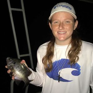 Meet your Posher, Summer